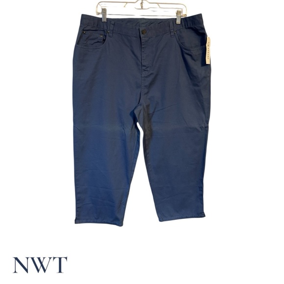 Kim Rogers Pants - NWT   Kim Rogers Blue Cropped Pants PLUS: 16   SPRING/SUMMER   #5